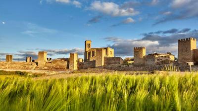 Visita el Cerco de Artajona